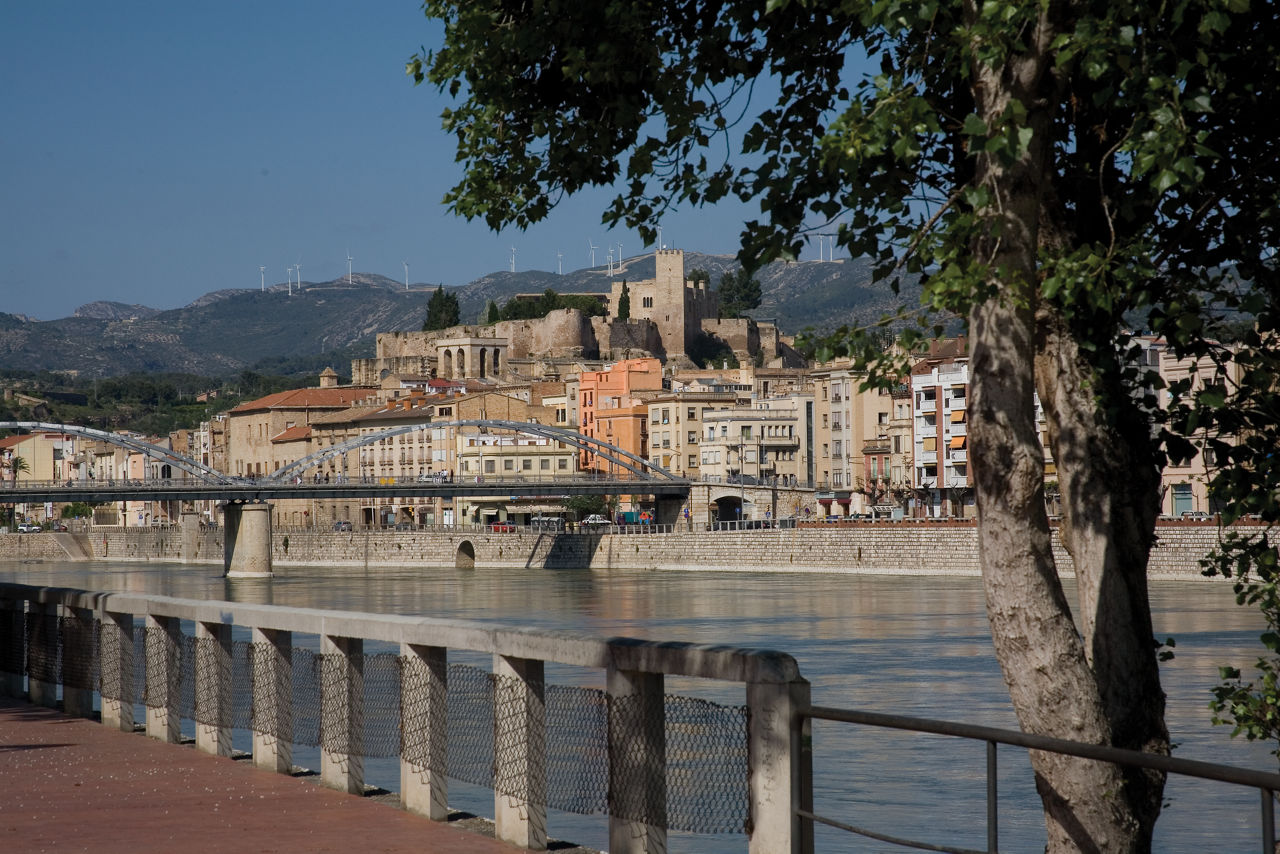 Encuentro del Aguilot