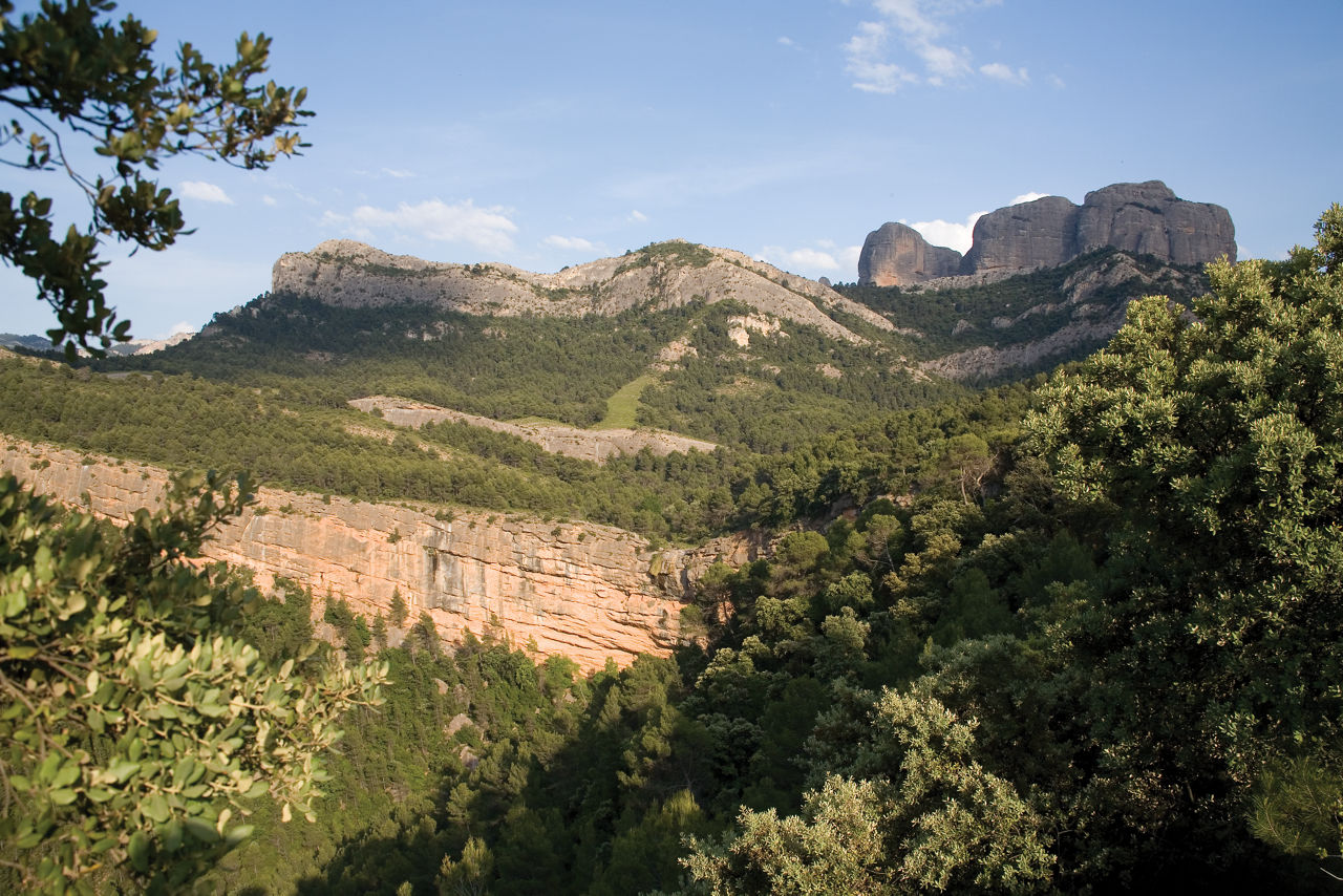 Picture of Els Ports Natural Park
