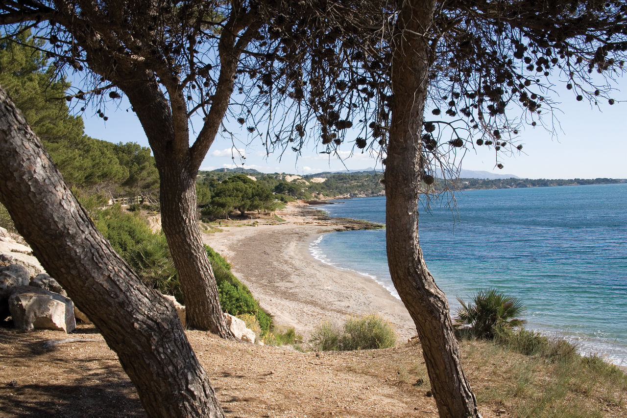 Destinos de Cataluña: litoral, interior y montaña