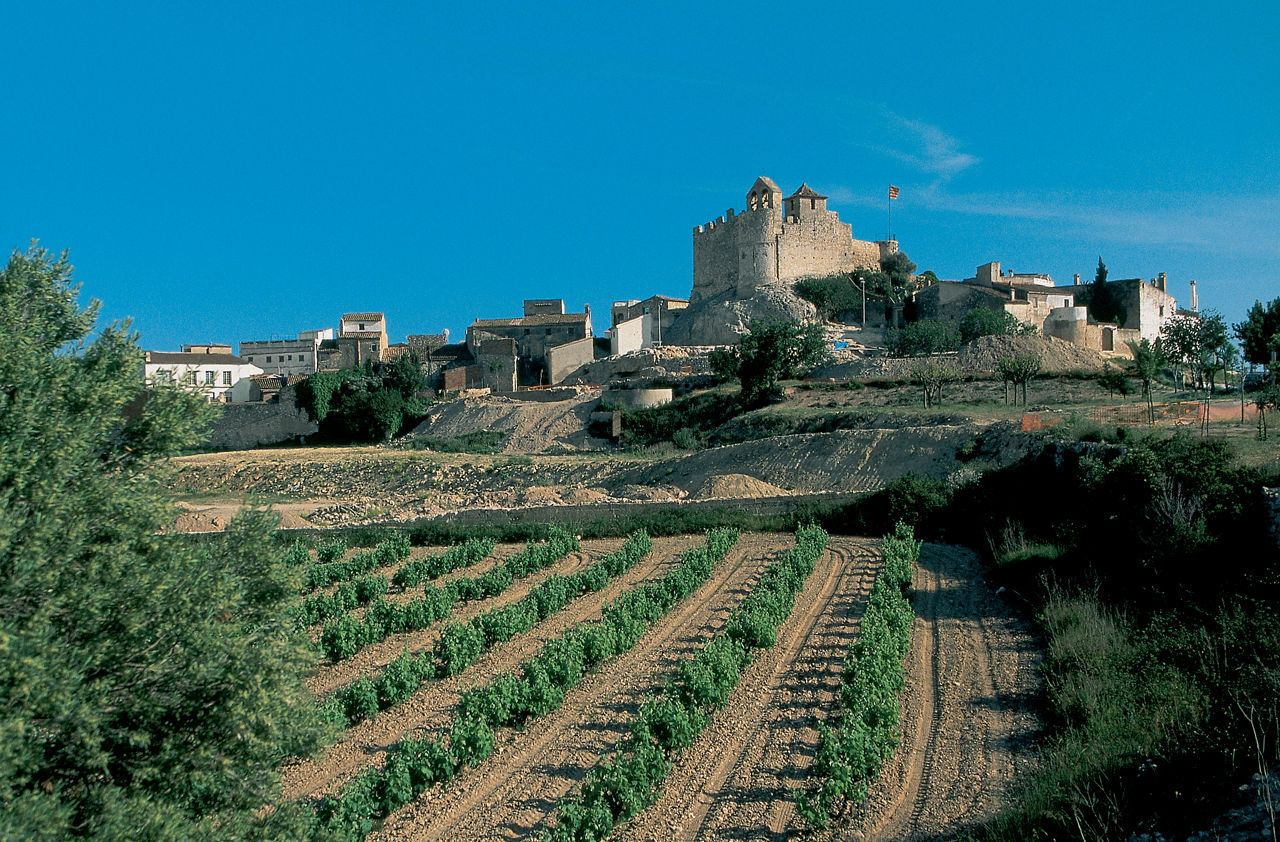 Camps de vinyes i ciutadella ibèrica amb el castell de la Santa Creu al fons 