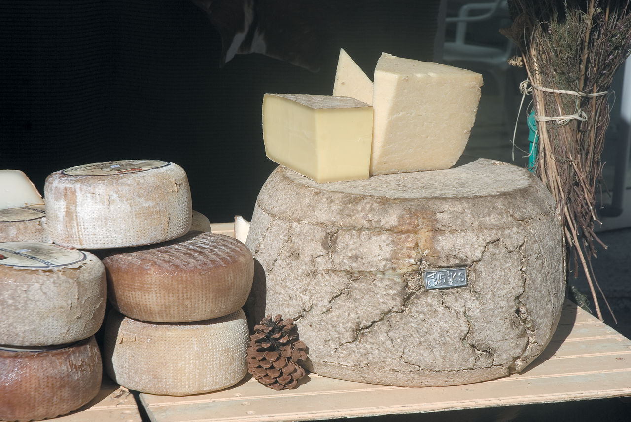 Muestra de Quesos Artesanos de Cataluña