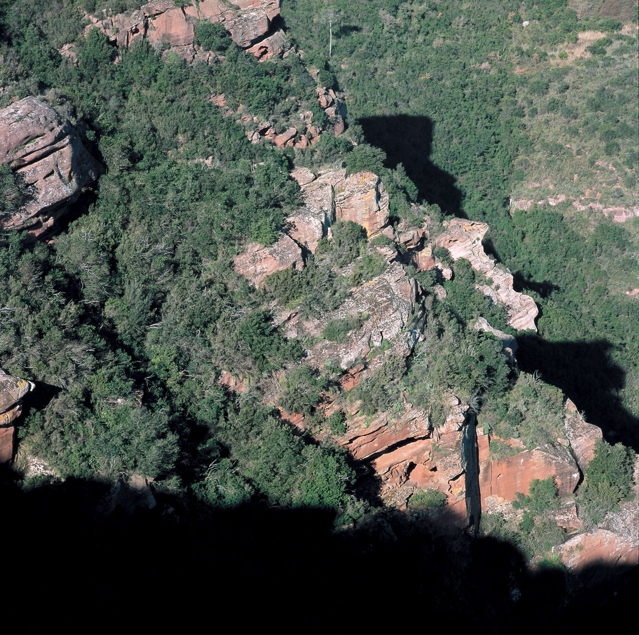 Parc Natural del Garraf, la major part del qual pertany al terme municipal de Begues. Es tracta d'un paisatge eminentment rocós i agressiu, amb nombroses cavitats subterrànies.