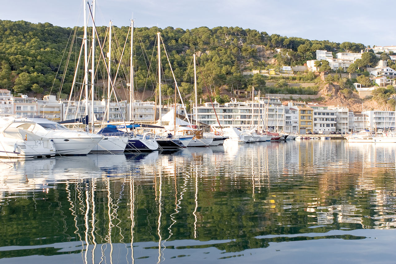 Embarcacions al port de l'Estartit, gestionat pel Club Nàutic Estartit que ofereix un gran ventall d'activitats i possibilitats.