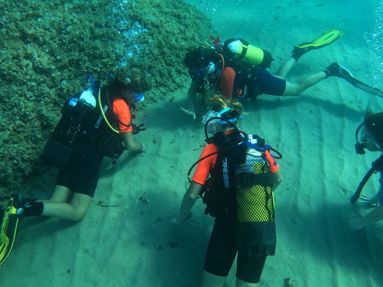 Gaudint d'una experiència de busseig entre oceanògrafes, amb Plàncton Diving, de l'Ametlla de Mar.