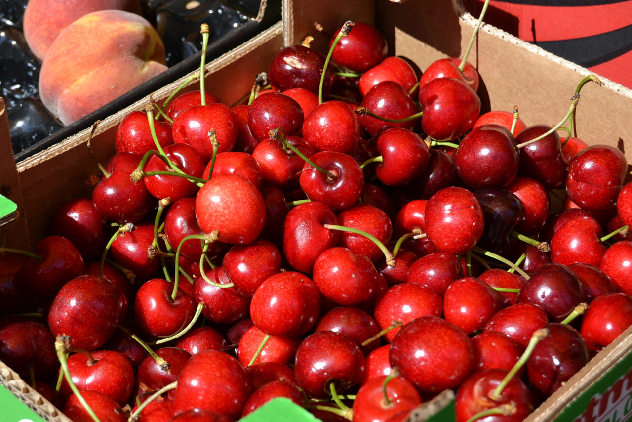 Feria de la Cereza de Llers