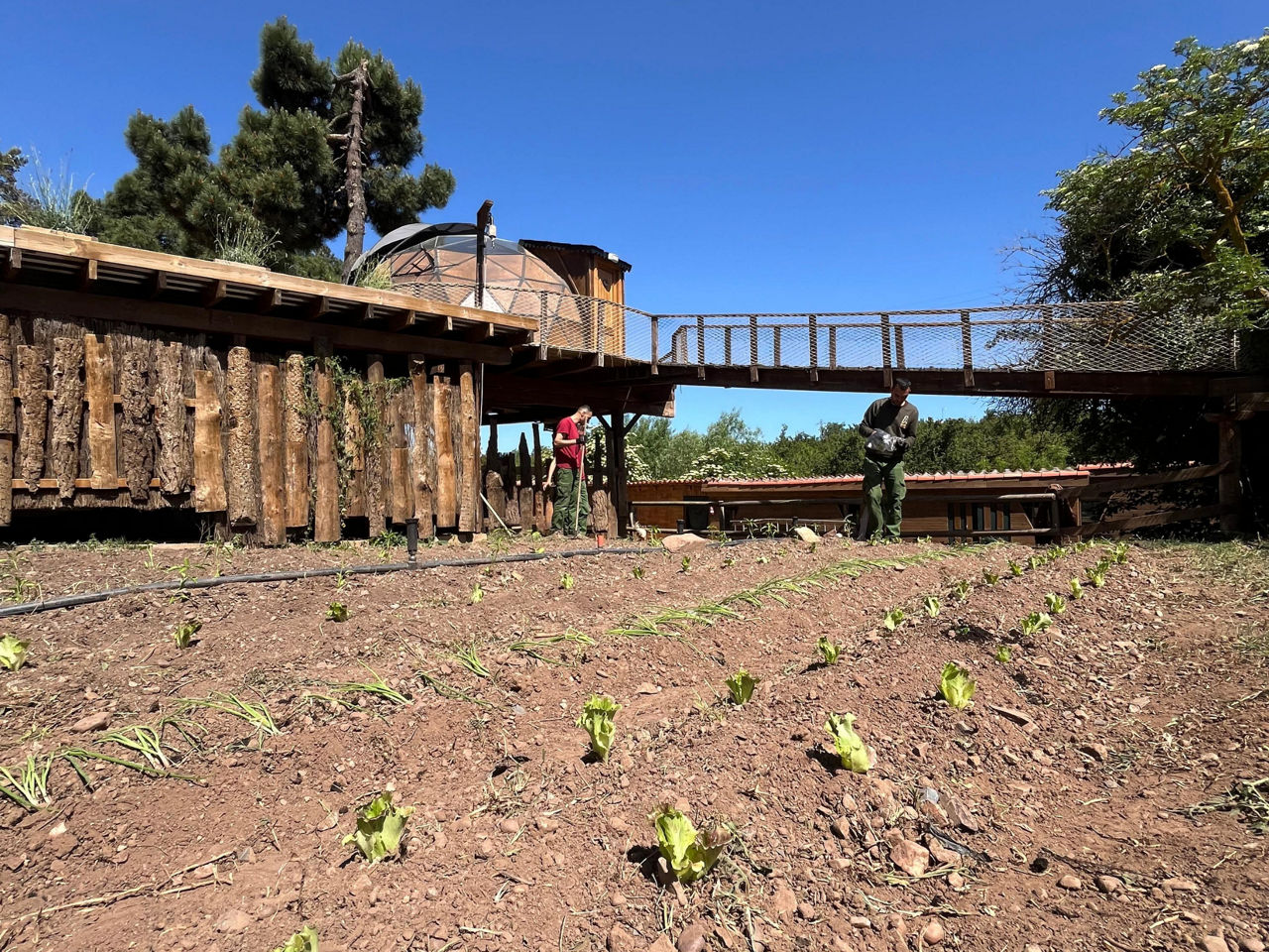 Homes treballant a l'hort del Xalet de Prades a la temporada d'estiu.