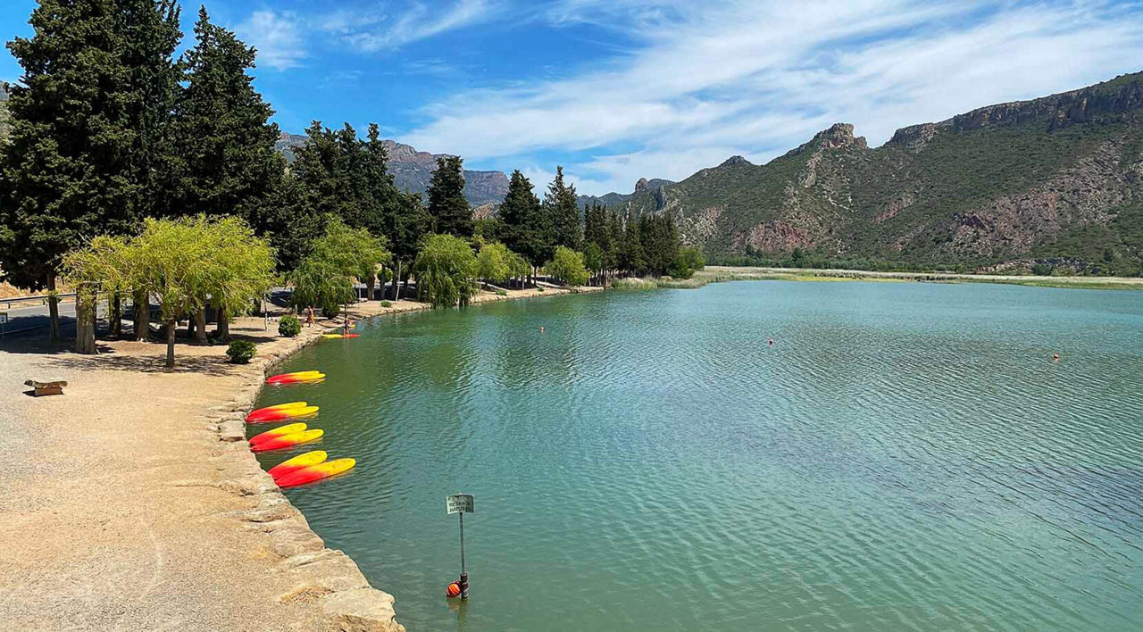 Taules de surf de rem amarrades a la vora del llac.