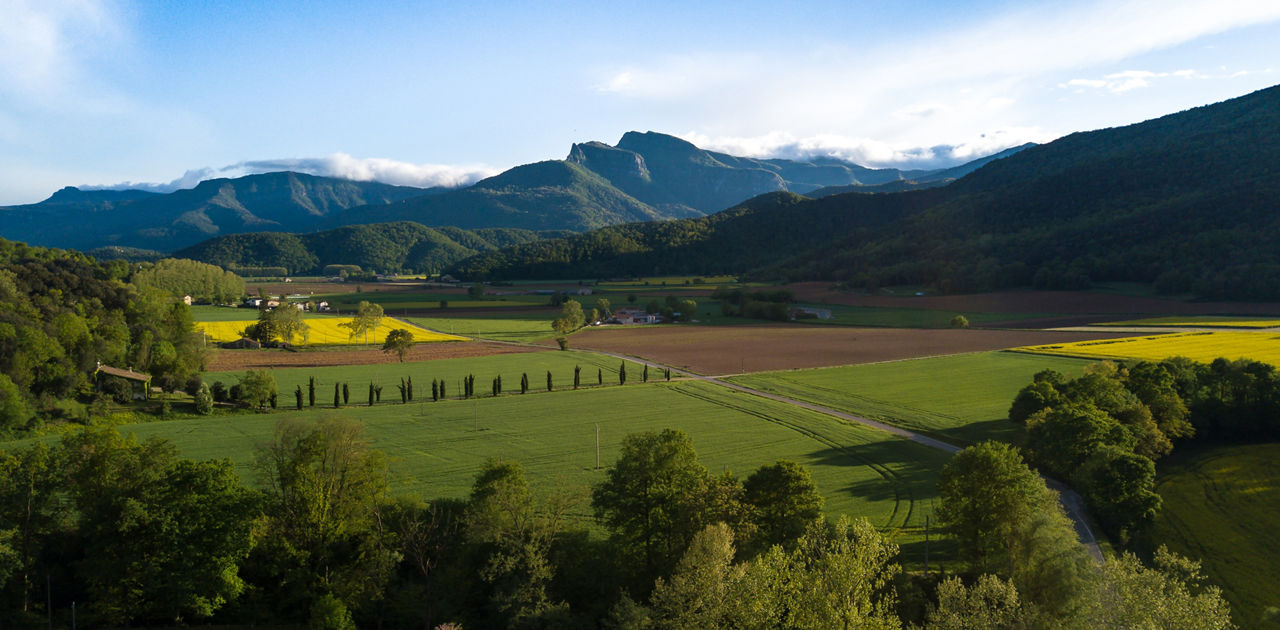 Vista d'uns camps de conreu des de la Masia Mas Garganta ubicada a la Vall d'en Bas.