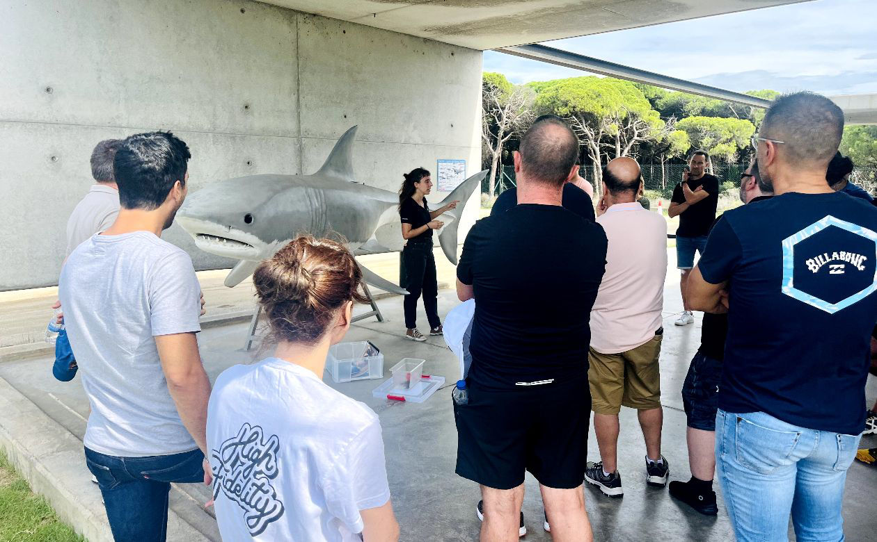 Participants a punt per fer l’activitat de 'team building' "Eco Heroes ODS Race", organitzada per l’empresa High Fidelity Collective, i que consisteix en una gimcana sostenible amb proves i reptes inspirats en els 17 Objectius de Desenvolupament Sostenible (ODS).