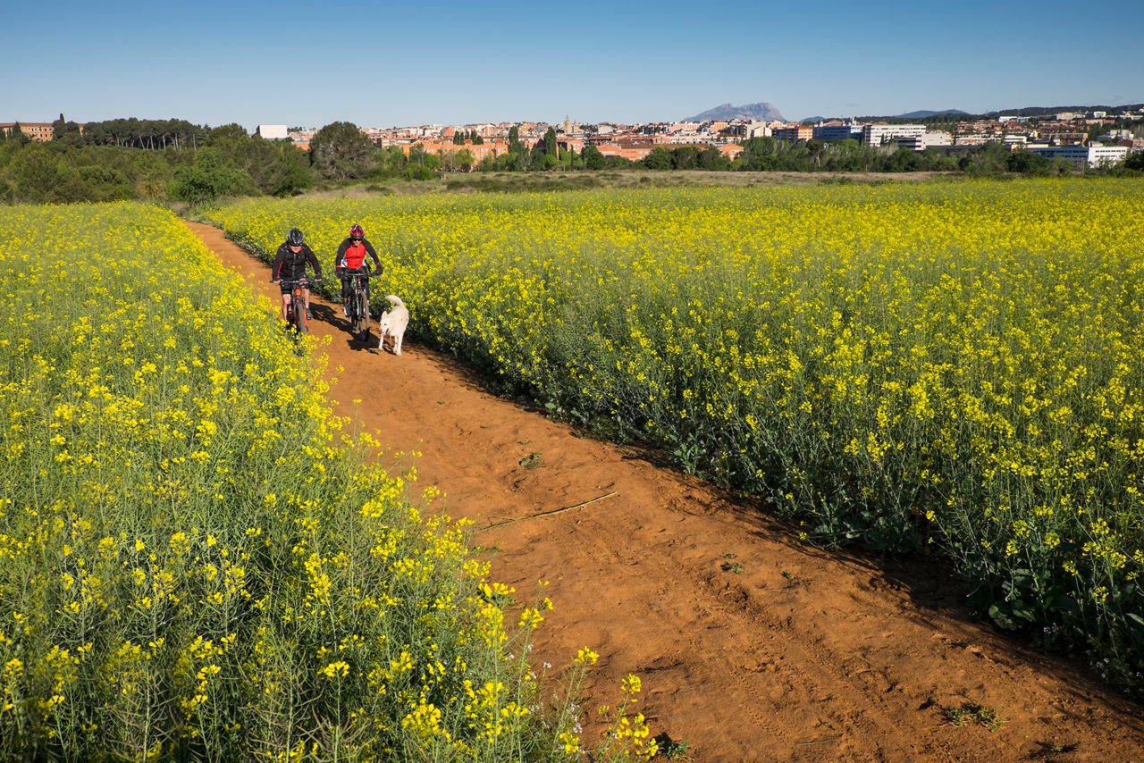 Discover the Collserola Natural Park