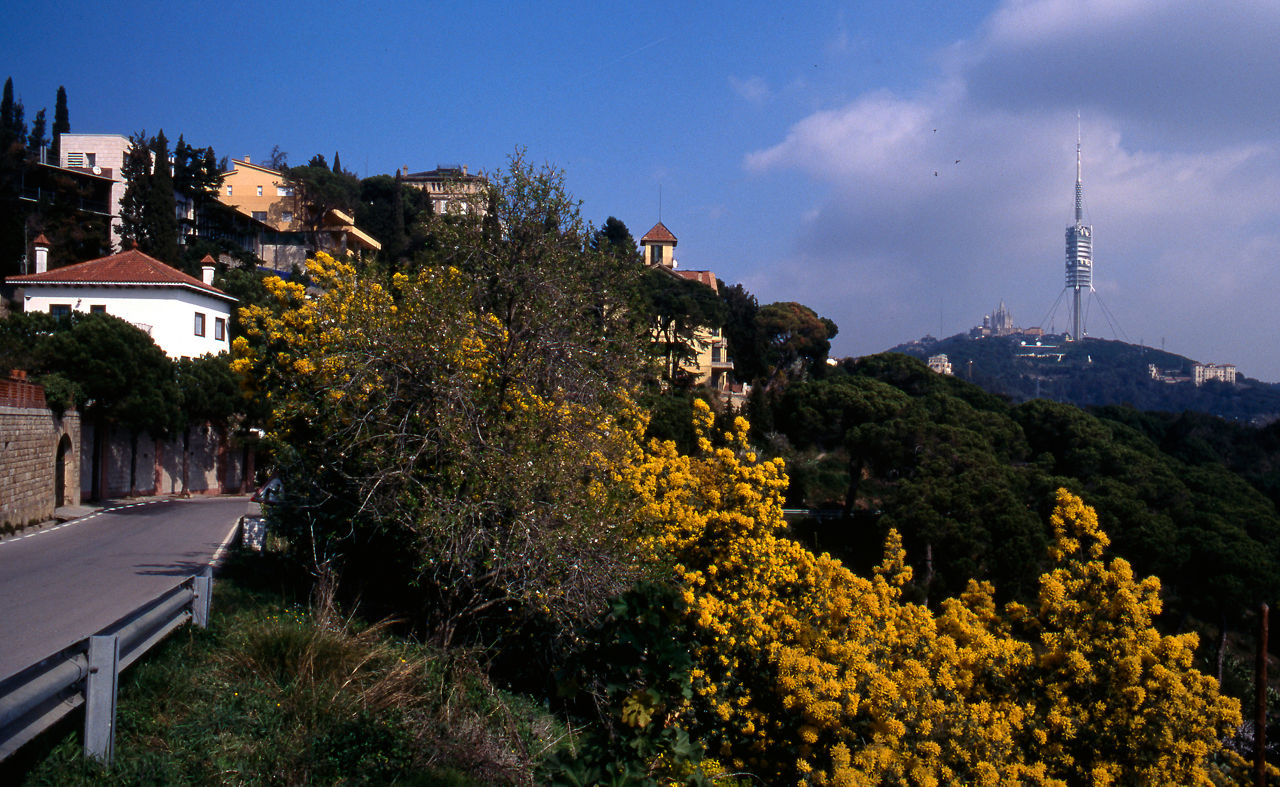 Discover the Collserola Natural Park