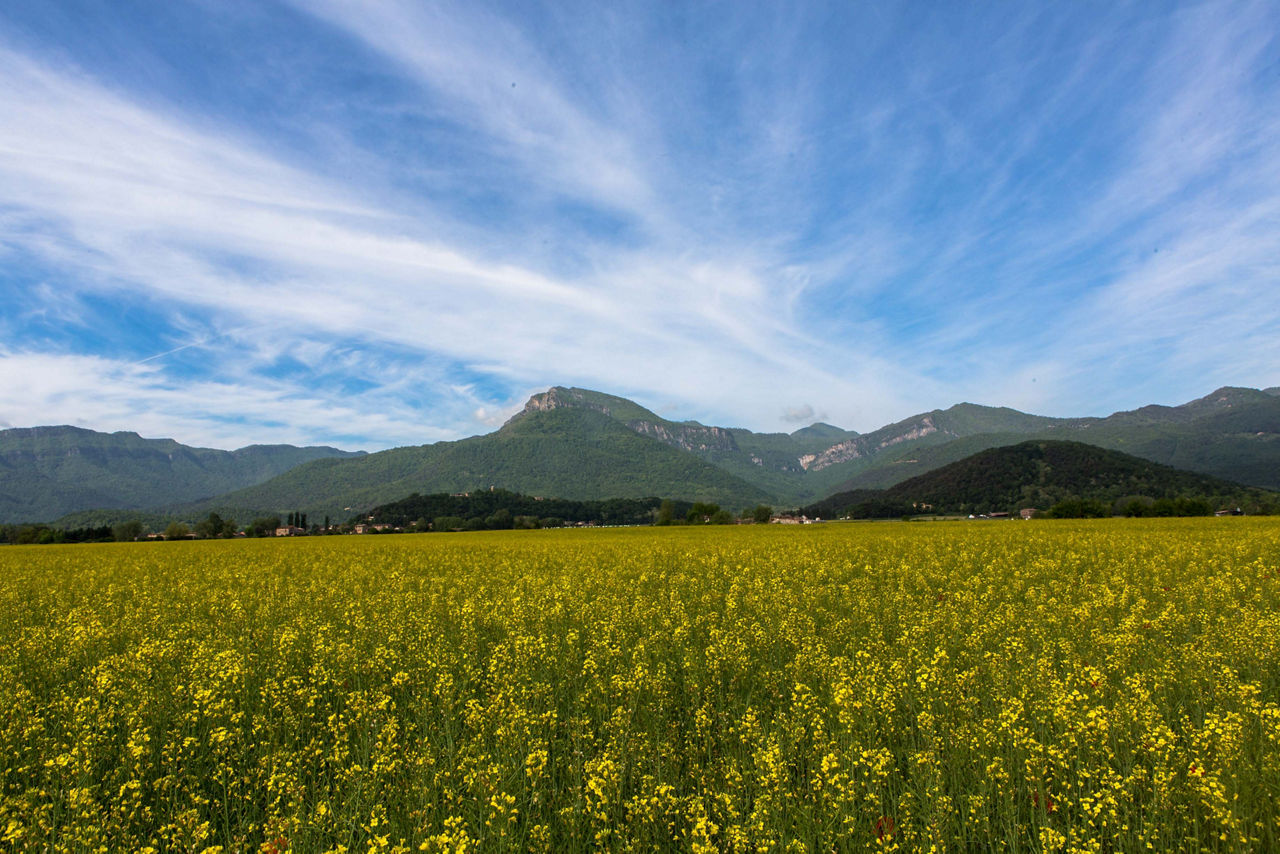 Paisatge panoràmic de la Vall d'en Bas    
