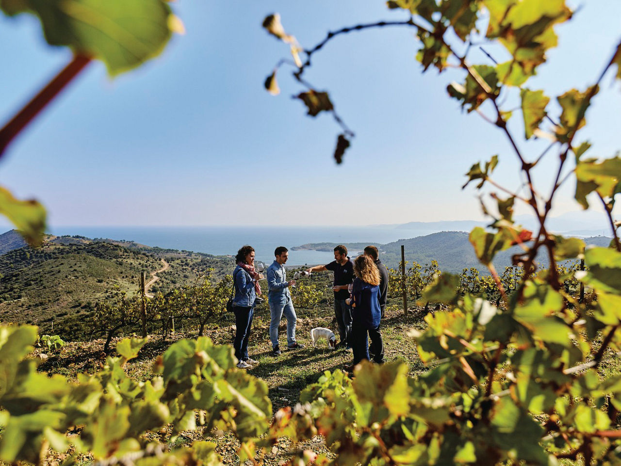 Personas disfrutando de una cata de vino con vistas al mar Mediterráneo