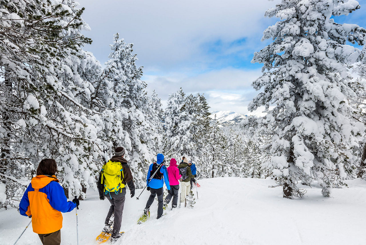 Persones practicant raquetes de neu a Catalunya durant l'hivern