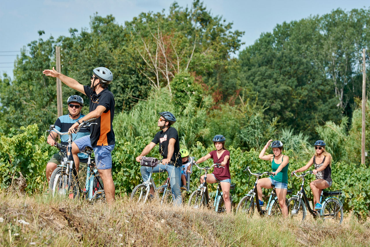 Família fent una ruta en bicicleta entre vinyes prop de Vilafranca del Penedés.