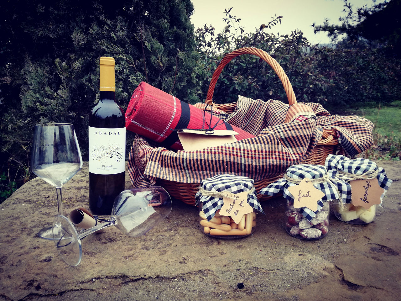 Cistell de pícnic a les vinyes.    