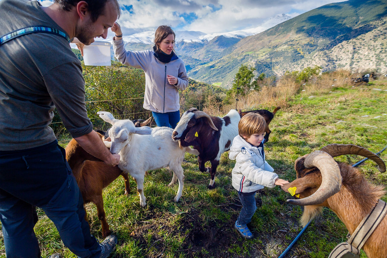 Activitat en família a la Borda Macià.