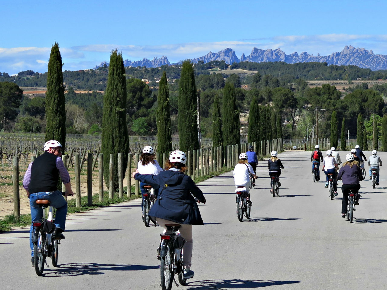 Grup de ciclistes durant la ruta de Bikemotions per les vinyes.     