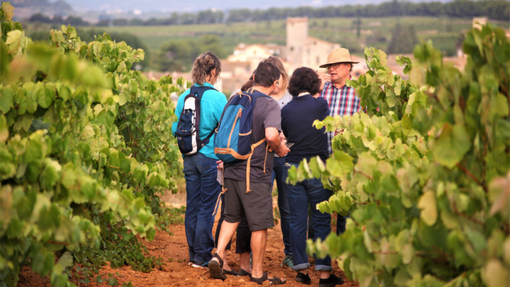 Un grup de persones atenen les explicacions entre les vinyes d'un vinyataire de la Masia Eudald Massana.