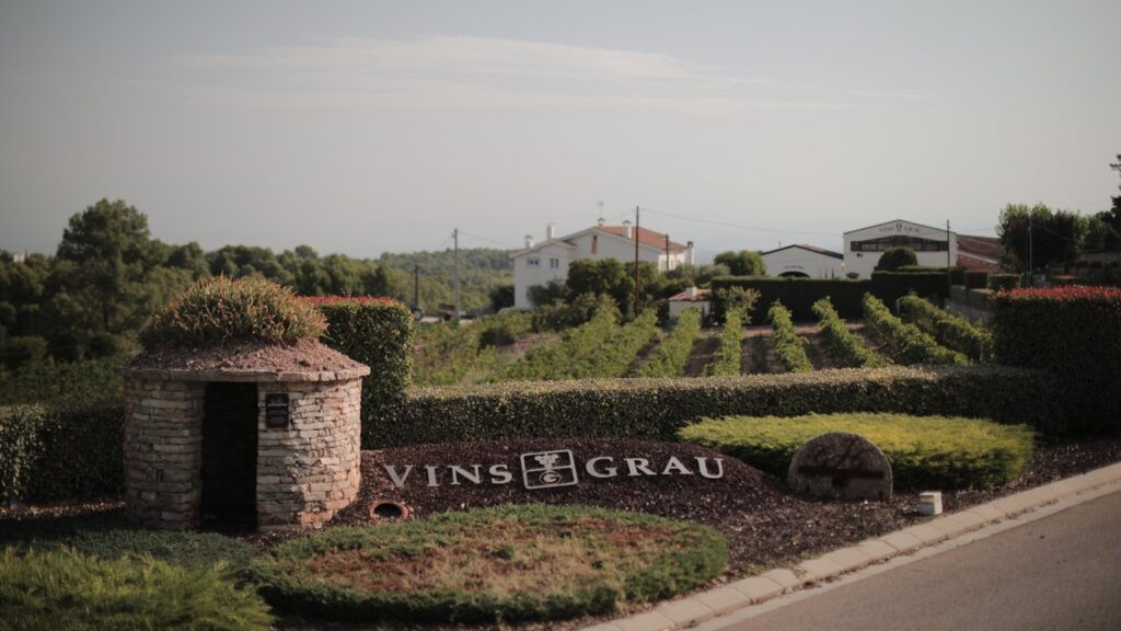 Barraca i vinyes a davant del celler Grau, a Palafrugell, una de les propostes enoturístiques de Bodevi.