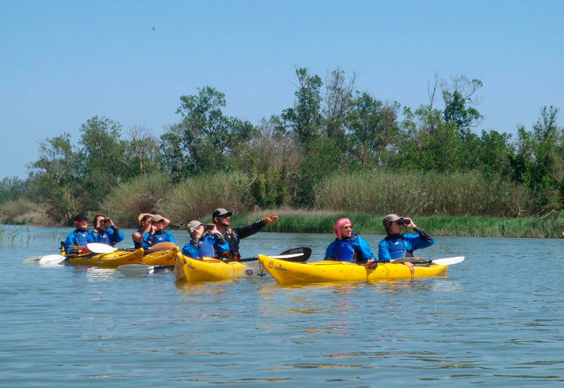 Gent fent caiac en el riu Fluvià de Sant Pere Pescador     