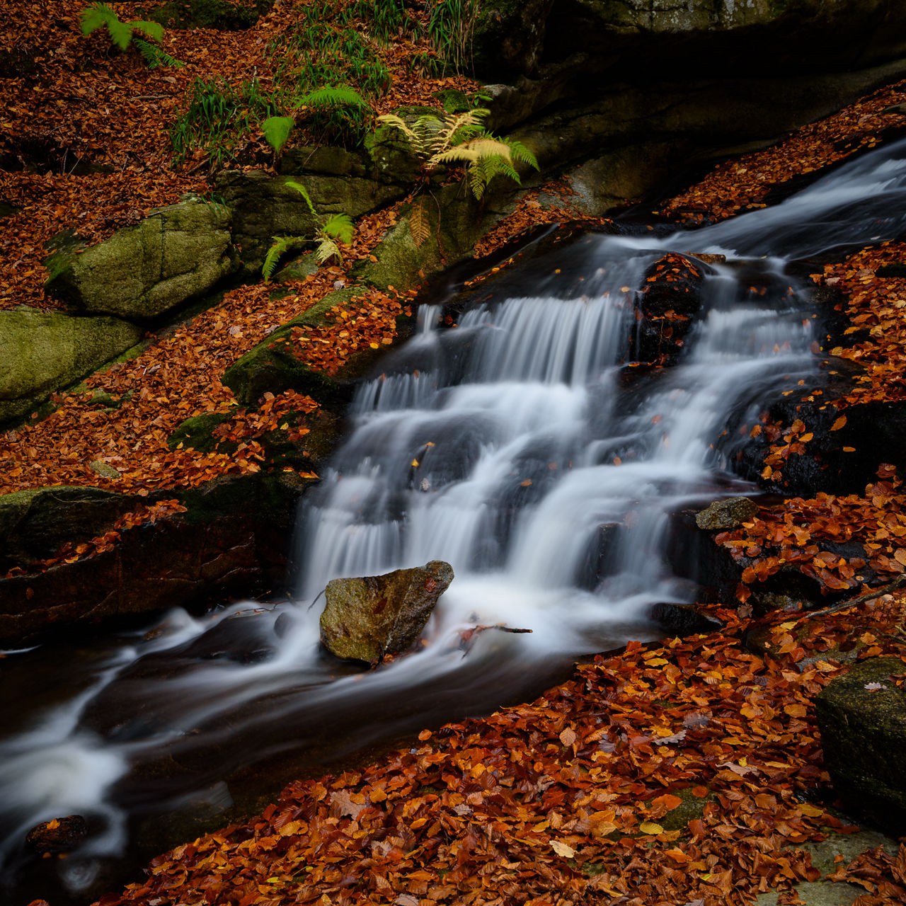 Voto de Pueblo en Sant Marçal