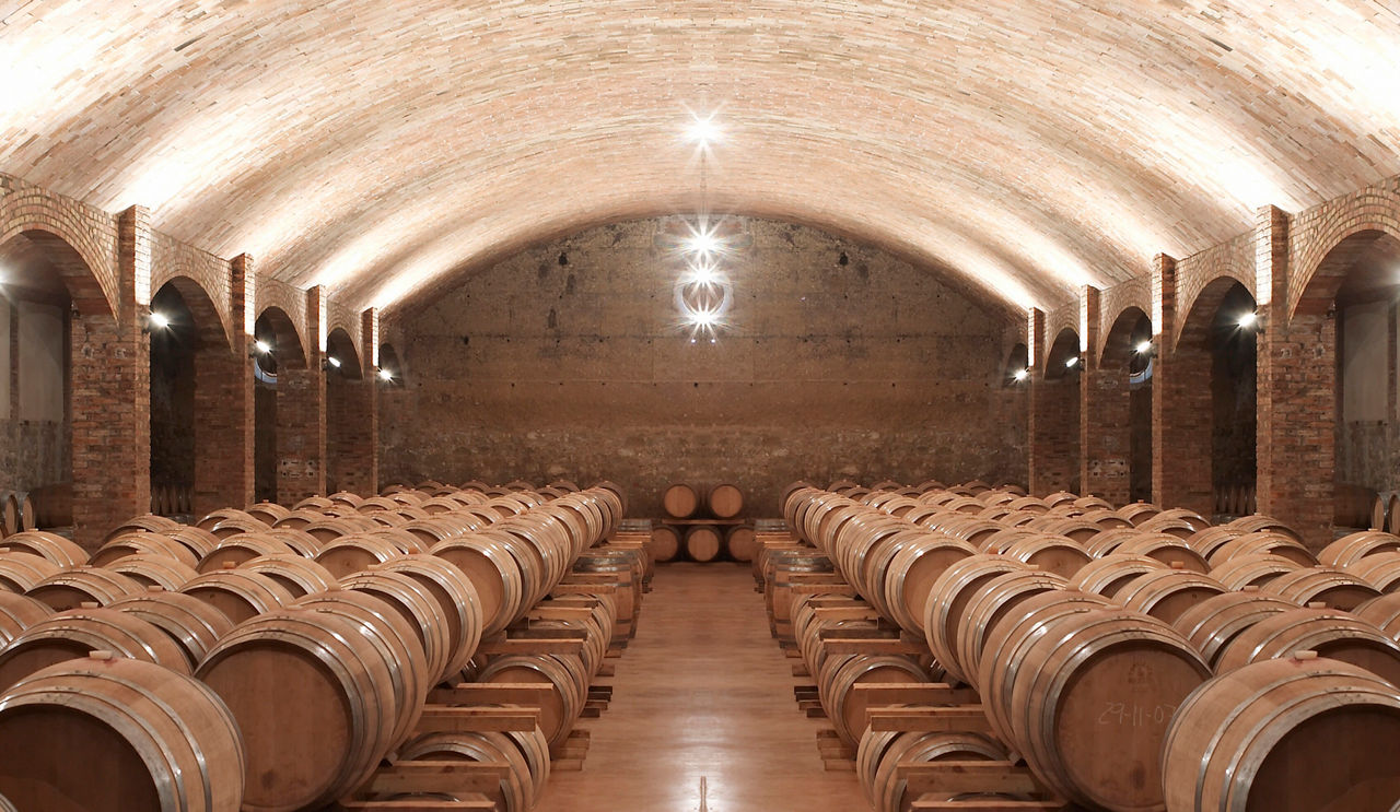 Bótes del celler Castell del Remei. 