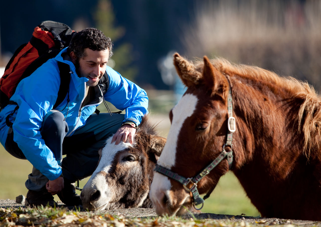 Feria de la Ascensió de Granollers