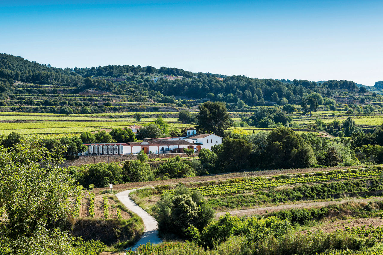 Panoràmica de l'antiga casa pairal i les vinyes que l'envolten a la finca del celler Eudald Massana Noya, a Subirats.
