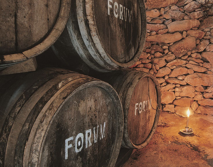 Botes dels Cellers Avgvstvs Forvm. Aquest lloc forma part de les rutes enoturístiques ofertes des del mateix celler.