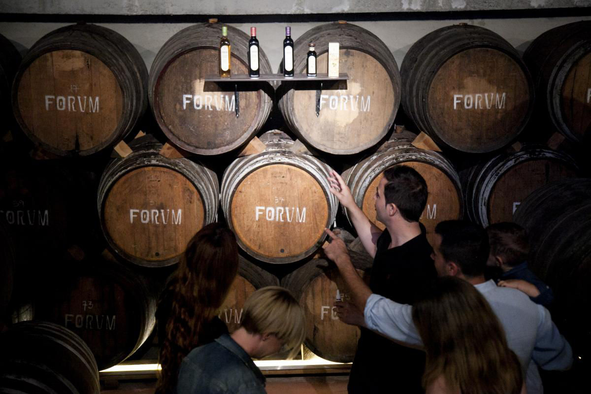 Visita al celler Avgvstvs Forvm. 