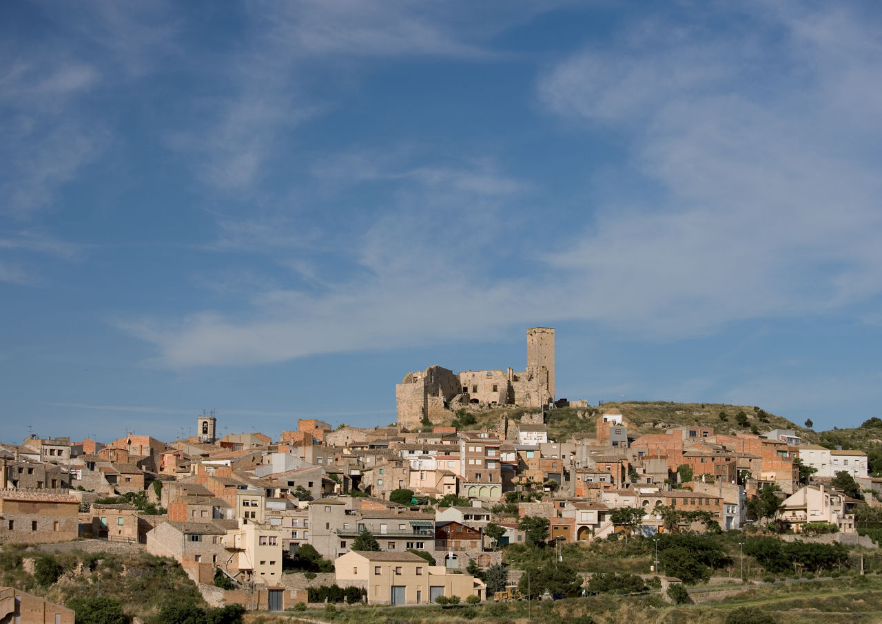 Encuentro de Grupos de recreación medieval