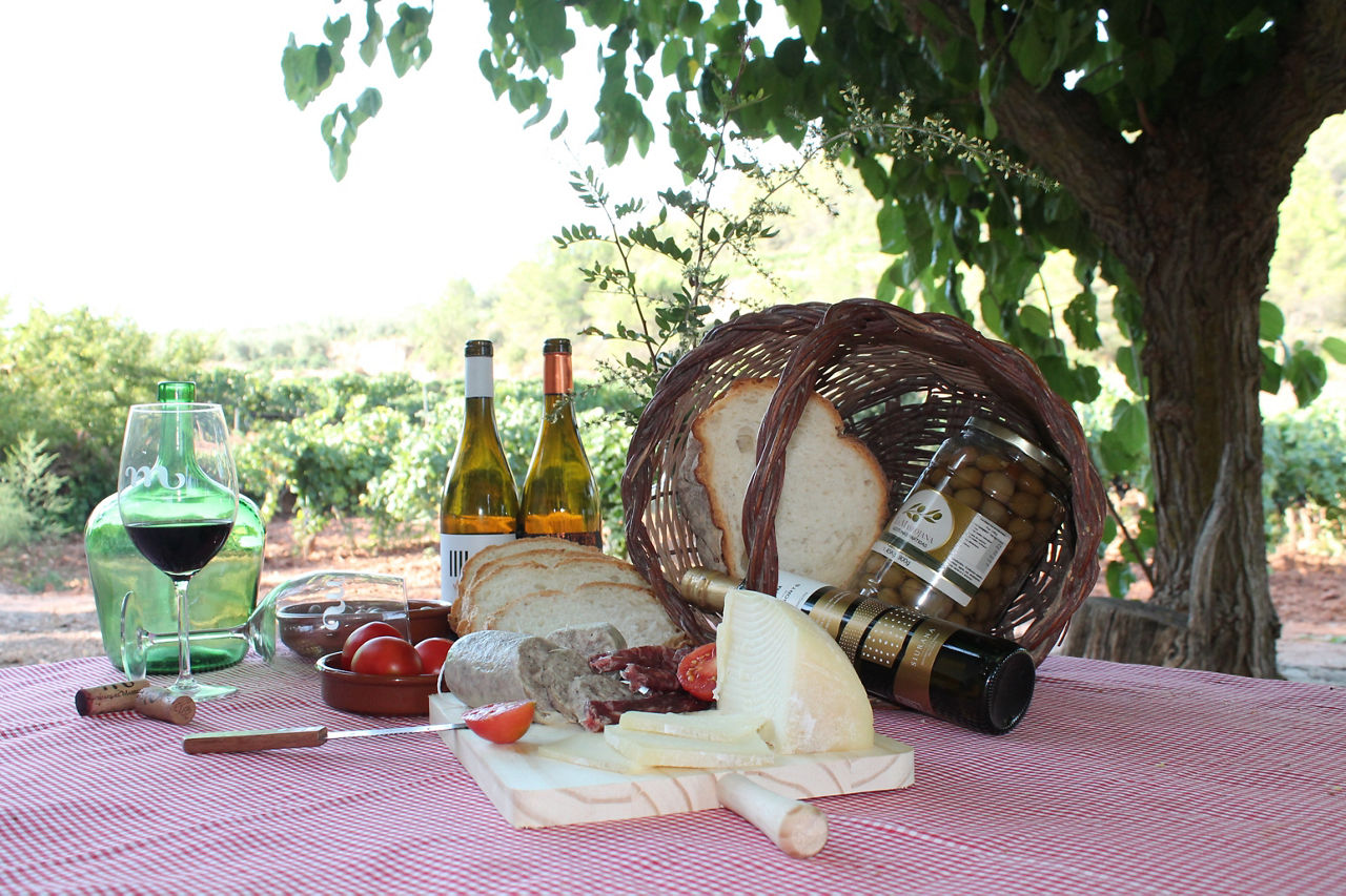 Esmorzar a les vinyes del Celler Masroig.