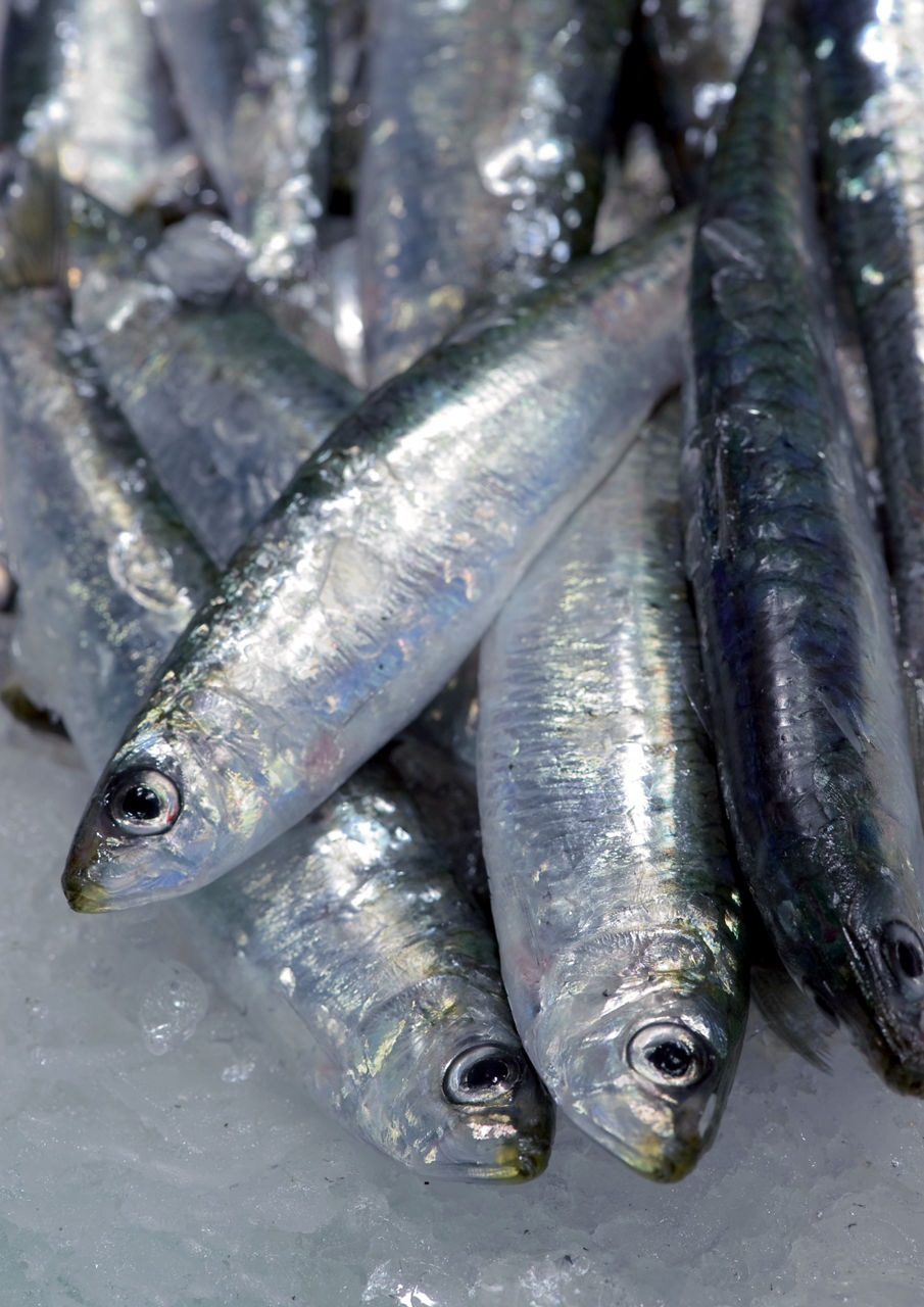 Jornadas Gastronómicas de los Fideus rossejats