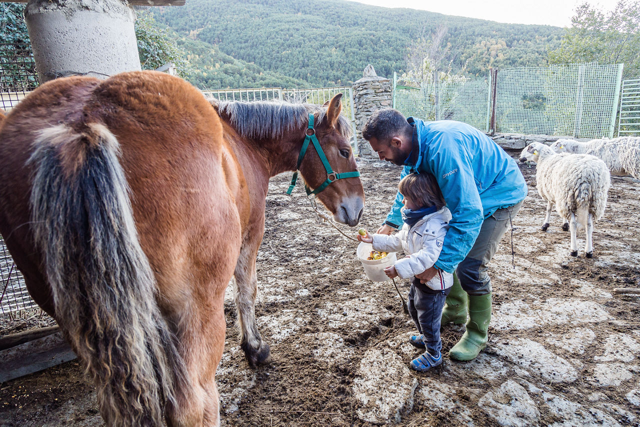 Nen donant de menjar a un cavall a Casa Macià, una casa familiar de turisme rural, situada al bell mig de Roní, un petit poble de l'Alt Pirineu.