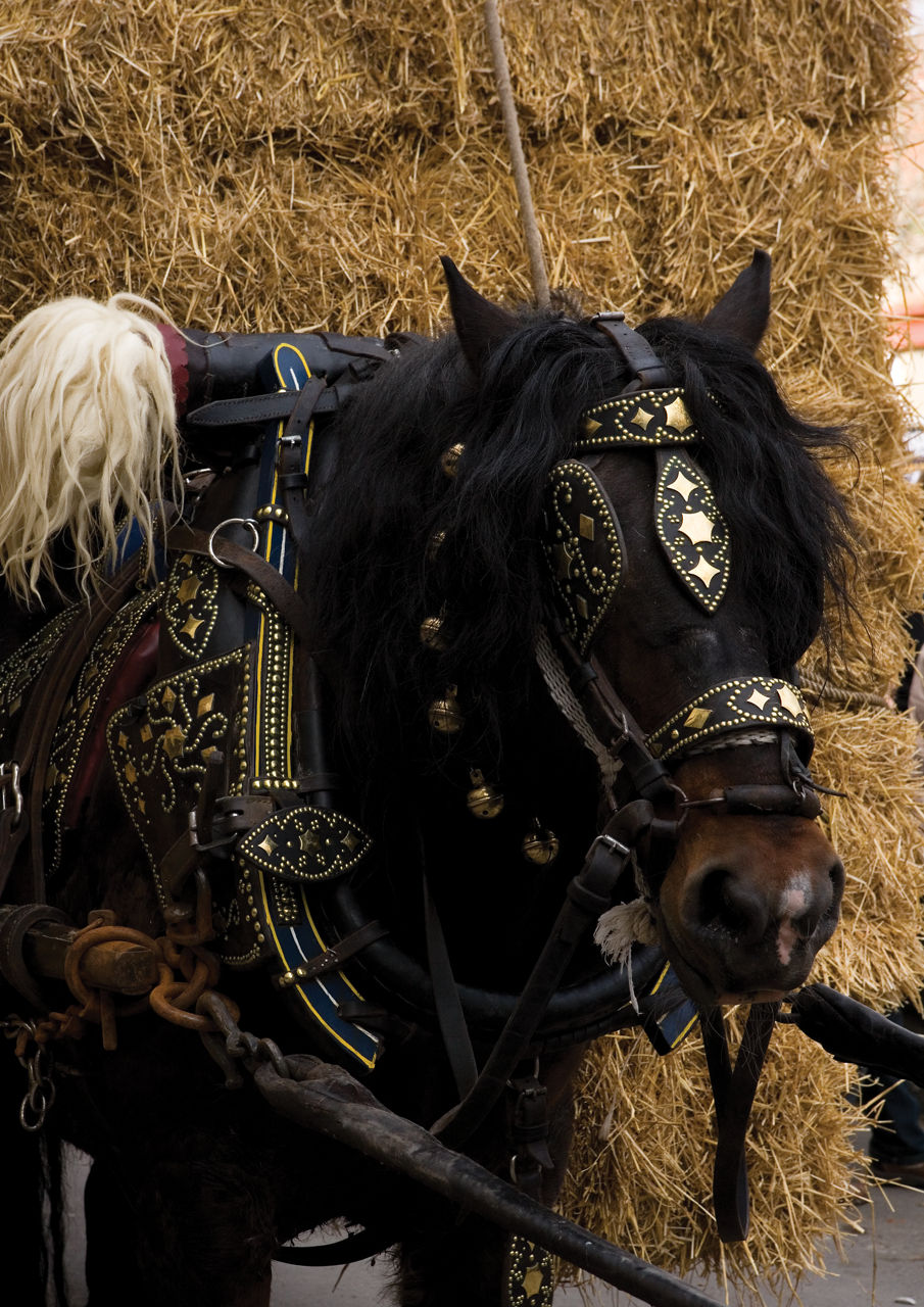 Fiesta de los Tres Tombs