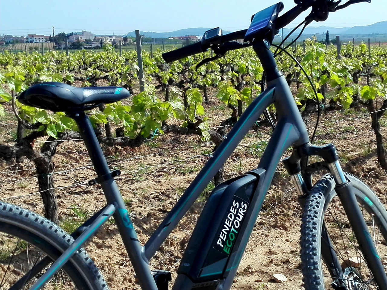 Bicicleta a les vinyes.