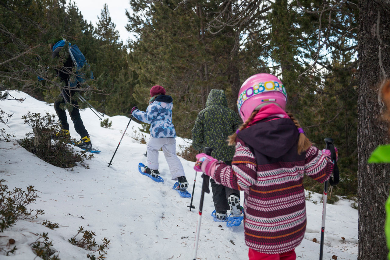 Ruta familiar en raquetes de neu per l'itinerari interpretatiu de dues hores pel bosc de Portainé. Una activitat d'Outdoor Adventour.
