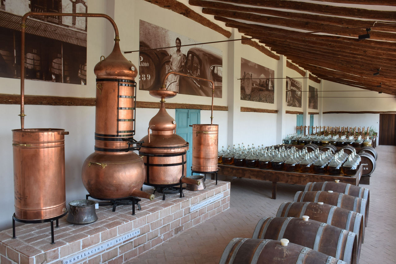 Vista panoràmica d'una de les parts de la visita guiada de Vermouth Padró & Co. on es mostra la història de l'elaboració dels seus vermuts al seu celler al municipi de Bràfim. 