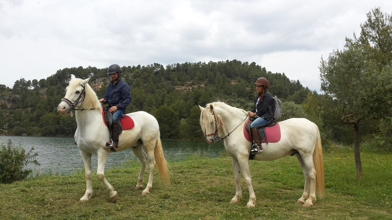 Visita a cavall entre vinyes.    