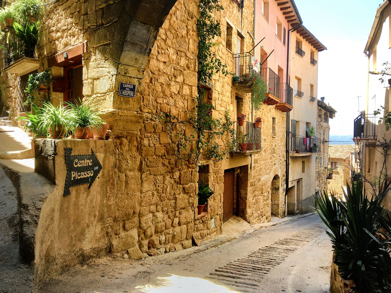 Carrer de la població rural d'Horta de Sant Joan, indret on es realitza la proposta gastronòmica de NJOY Catalonia.