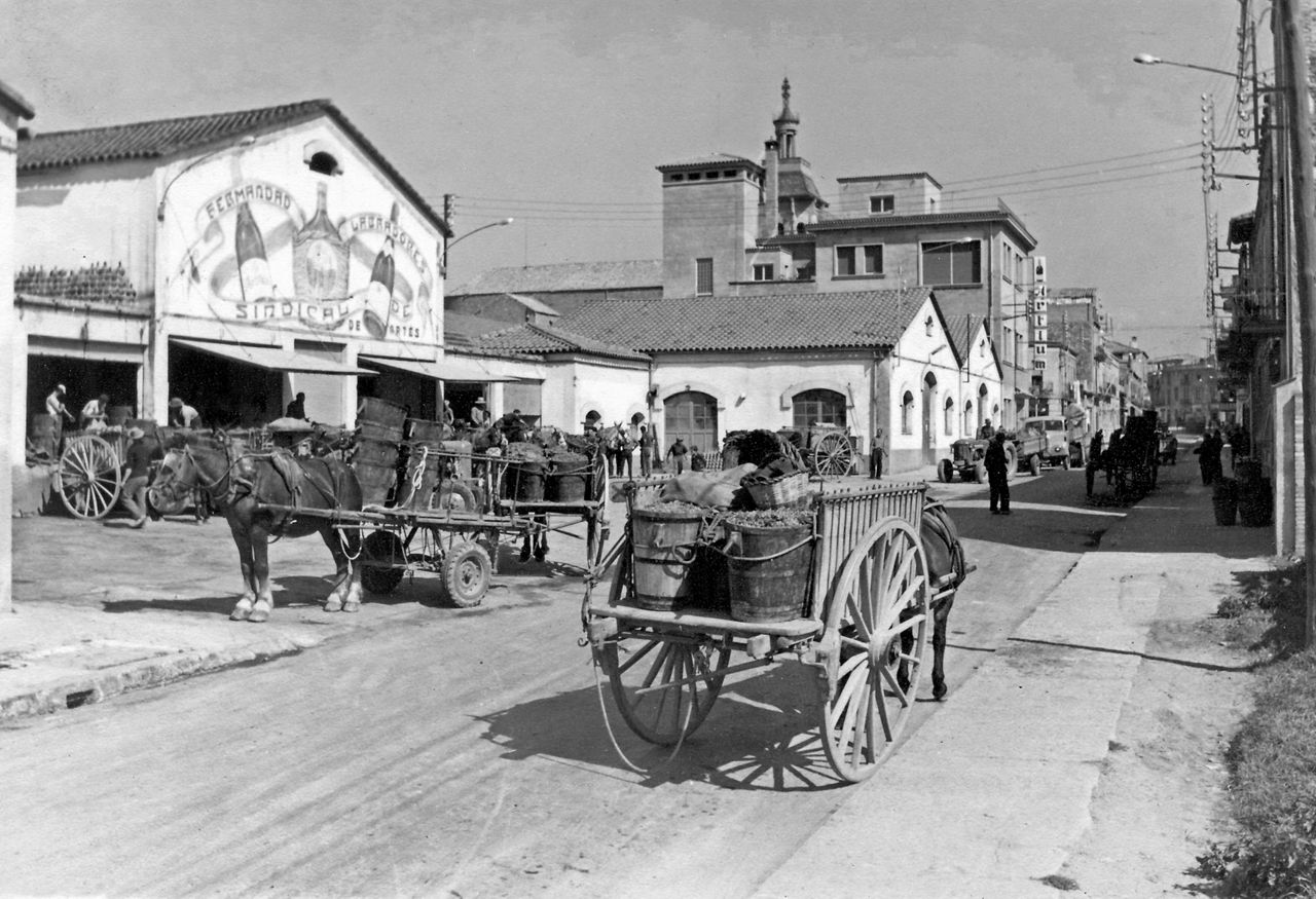 Foto antiga del Pla de Bages.    