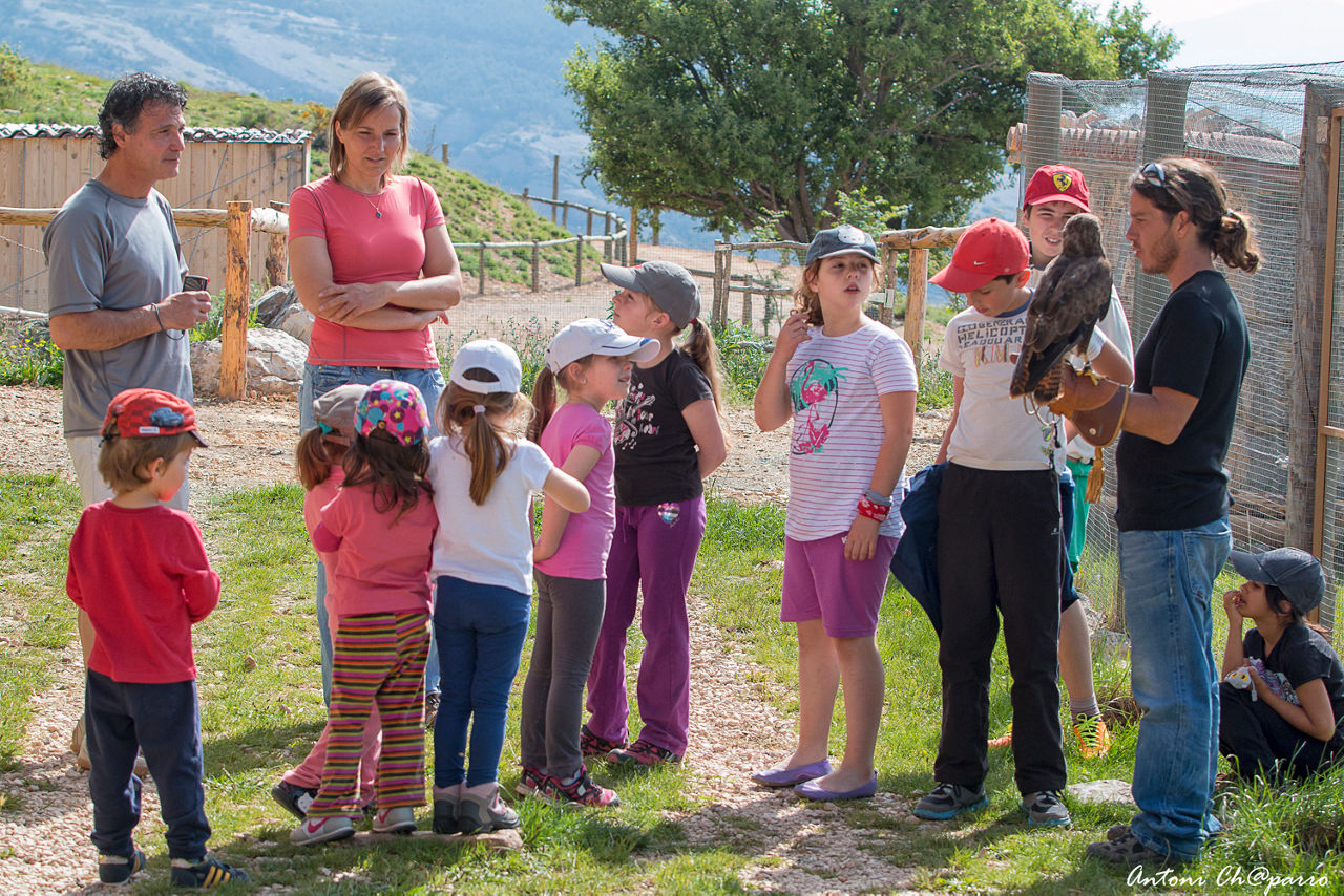 Un grup escolar escoltant i observant durant la visita guiada del Zoo del Pirineu.