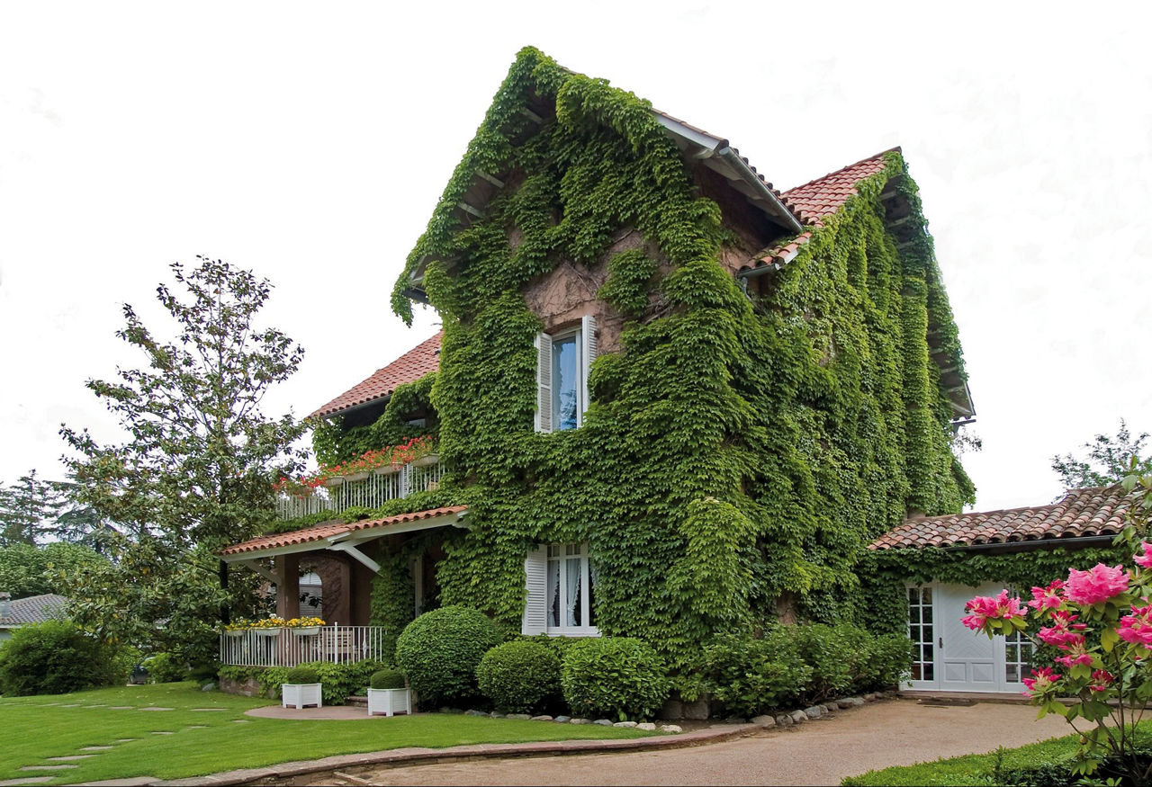 Xalet la Coromina